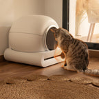 Pumba 8000 CleanKitty Smart