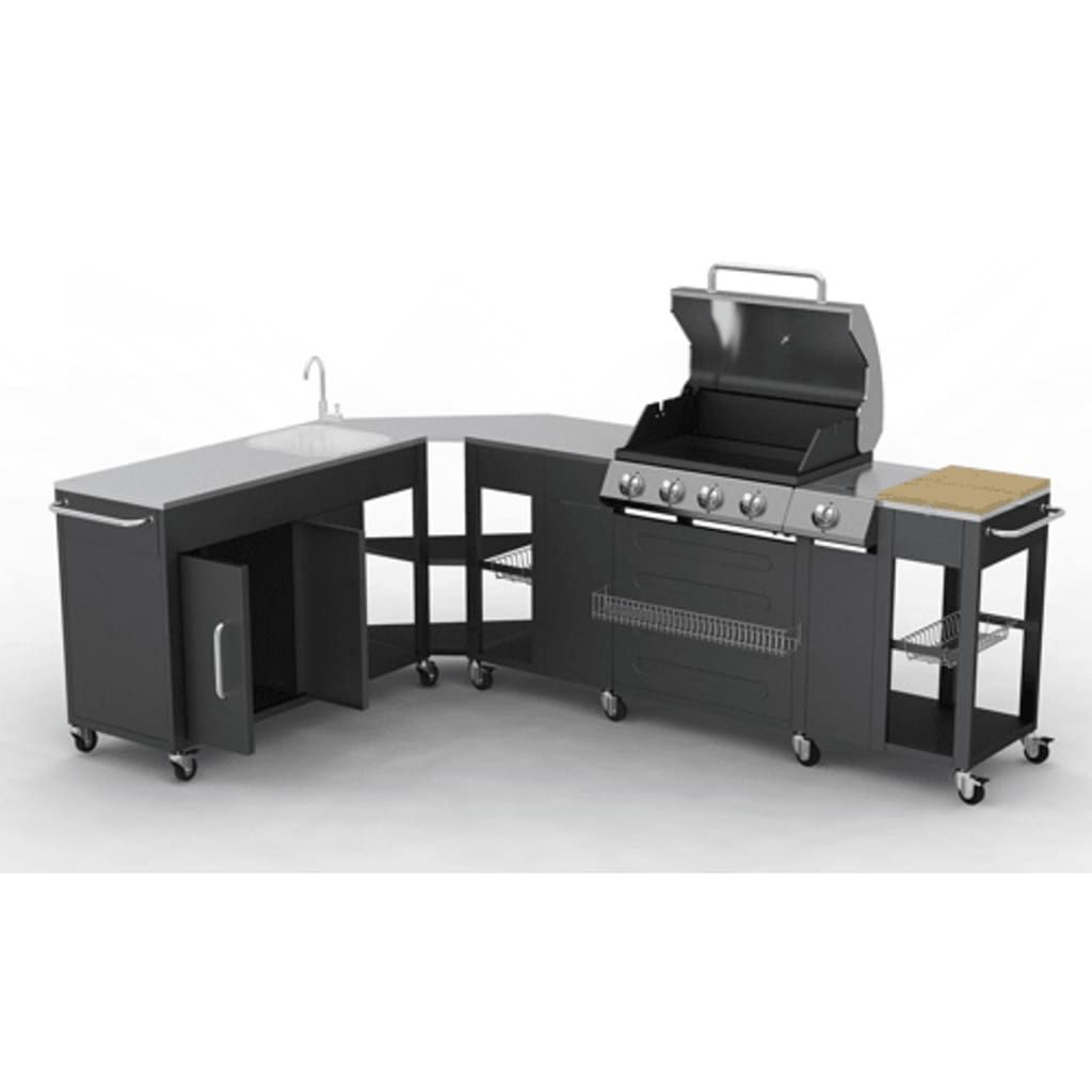 Barbacoa Parrilla De Gas 4+1 Quemadores Vidaxl